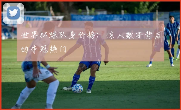 世界杯球队身价榜:惊人数字背后的夺冠热门
