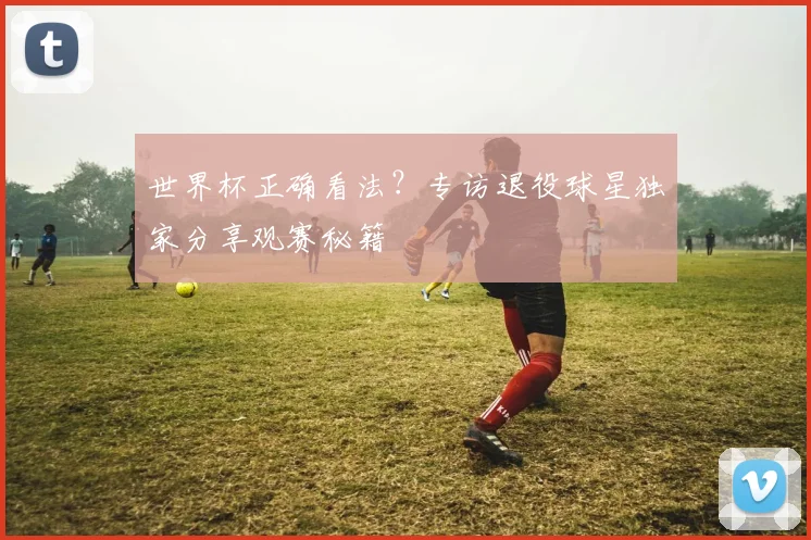 世界杯正确看法?专访退役球星独家分享观赛秘籍