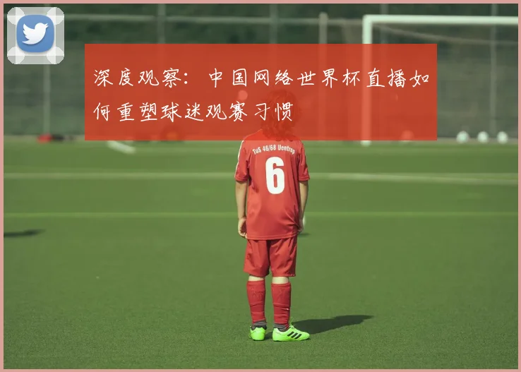 深度观察：中国网络世界杯直播如何重塑球迷观赛习惯