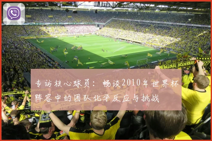 专访核心球员：畅谈2010年世界杯阵容中的团队化学反应与挑战